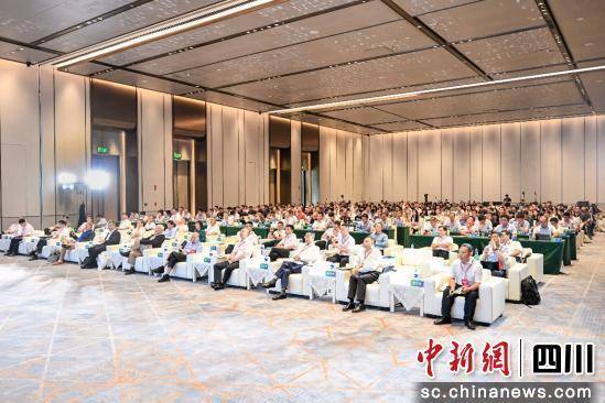 2025興隆湖能源電力高峰對(duì)話聚焦構(gòu)建新型電力系統(tǒng):電力能源